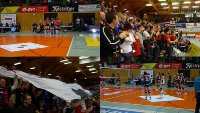 collage_vfb_ssc