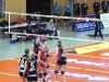 bild36.jpg