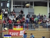 bild17.jpg