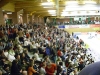 bild41.jpg