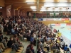 bild40.jpg