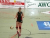 bild19.jpg