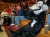 bild40.jpg