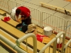 bild04.jpg