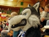 bild38.jpg