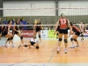 bild33.jpg