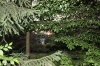 20090704_0020