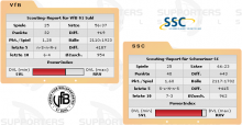 Schweriner SC vs. VfB 91 Suhl (08.05.2010)