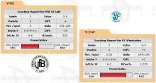 VC Wiesbaden vs. VfB 91 Suhl (18.12.2010)