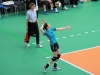 bild11.jpg
